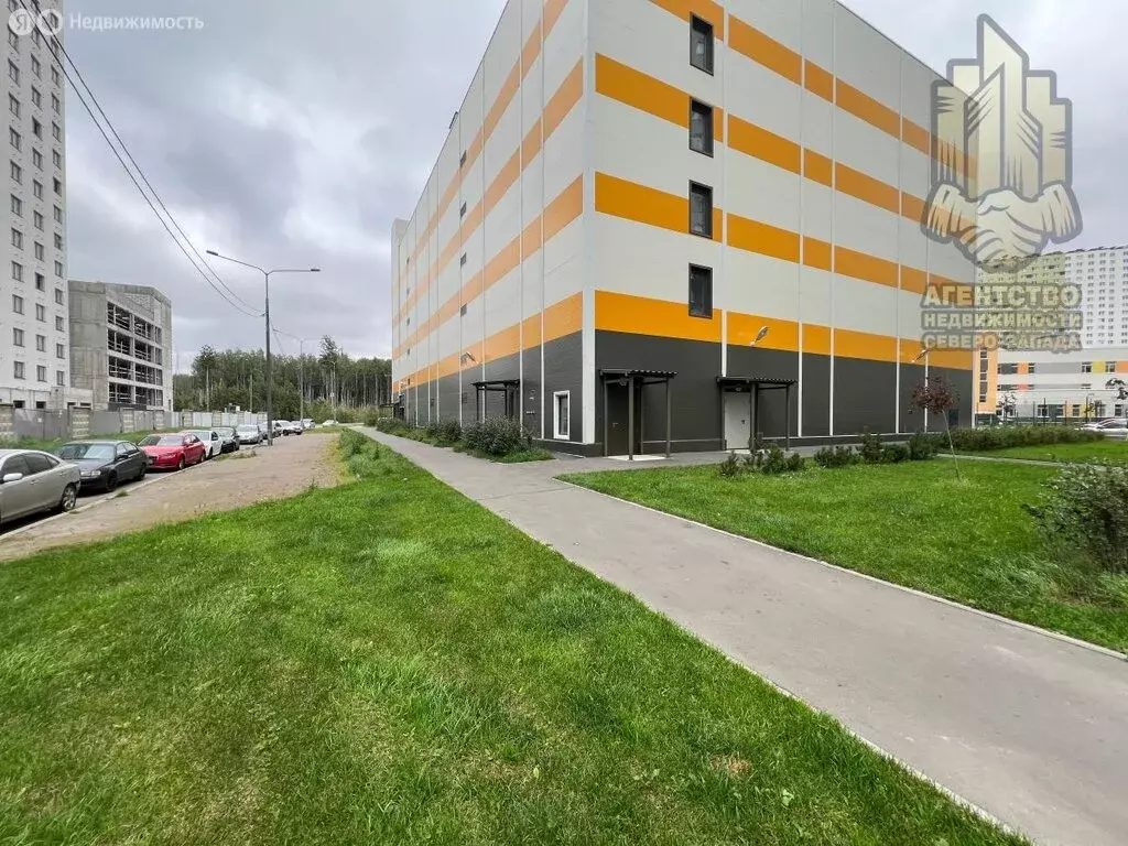 Помещение свободного назначения (50 м) - Фото 1