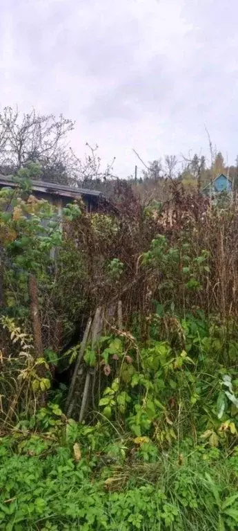 Участок в Владимирская область, Камешковский муниципальный округ, ... - Фото 1