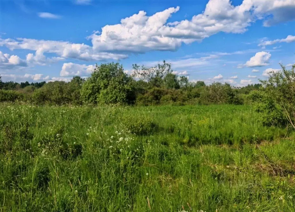 Участок в Карелия, Олонец ул. Зеленая (15.0 сот.) - Фото 2