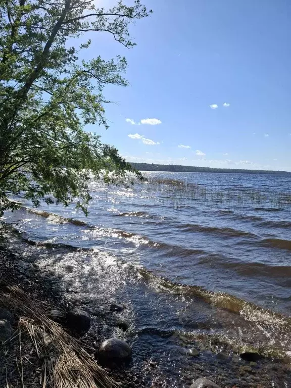 Дом в Ленинградская область, Приозерский район, Плодовское с/пос, ... - Фото 0