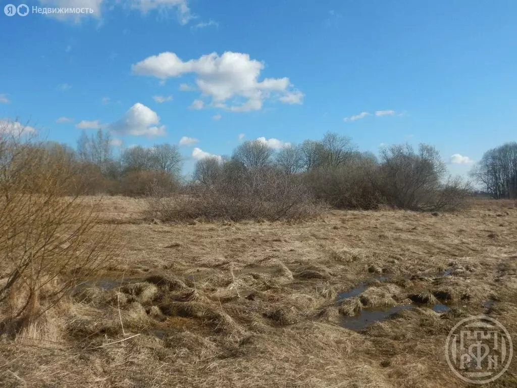 Участок в Красное Село, Красногородская улица, 26 (12 м) - Фото 1