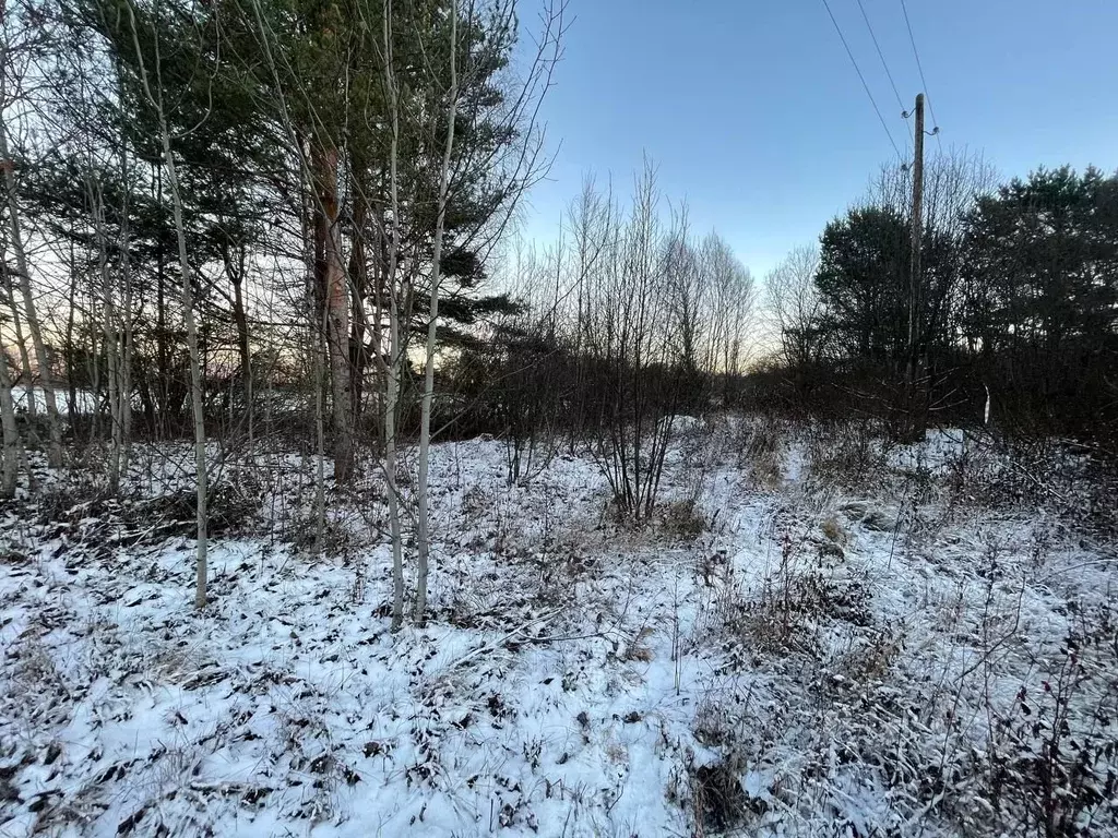 Участок в Карелия, Прионежский район, Шуйское с/пос, д. Намоево  (9.0 ... - Фото 2