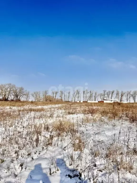 Участок в Белгородская область, Белгородский район, Дубовское с/пос, ... - Фото 0