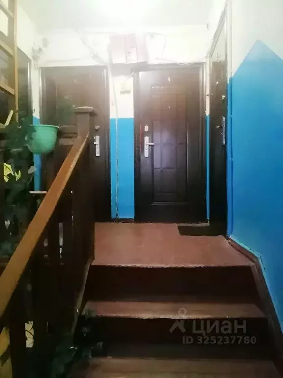 2-к кв. Ленинградская область, Приозерск Портовая ул., 7 (36.9 м) - Фото 2