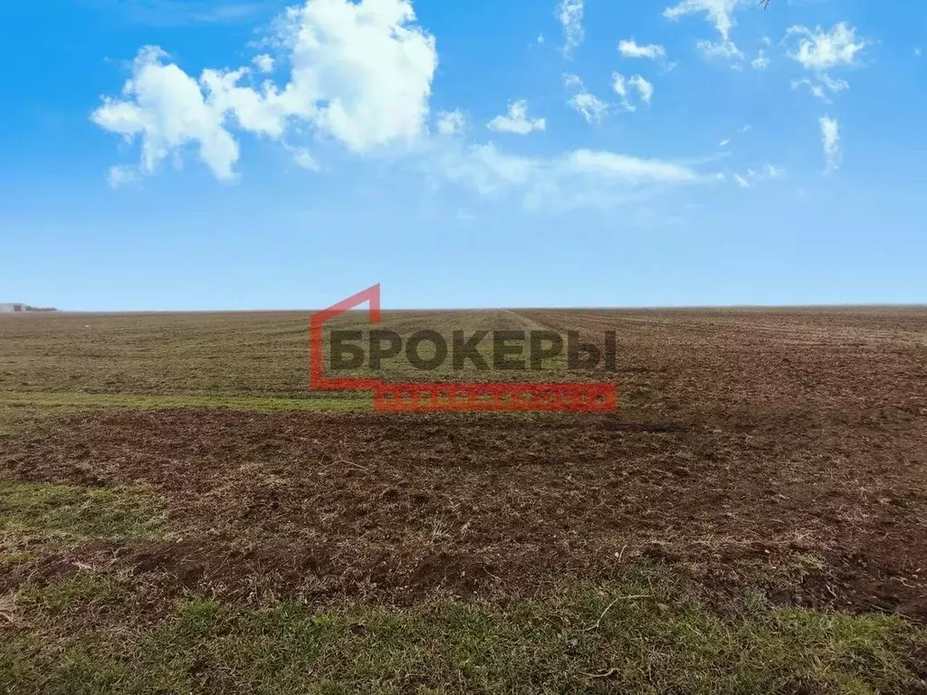 Участок в Крым, Сакский район, с. Молочное ул. Пионерская (580.0 сот.) - Фото 2