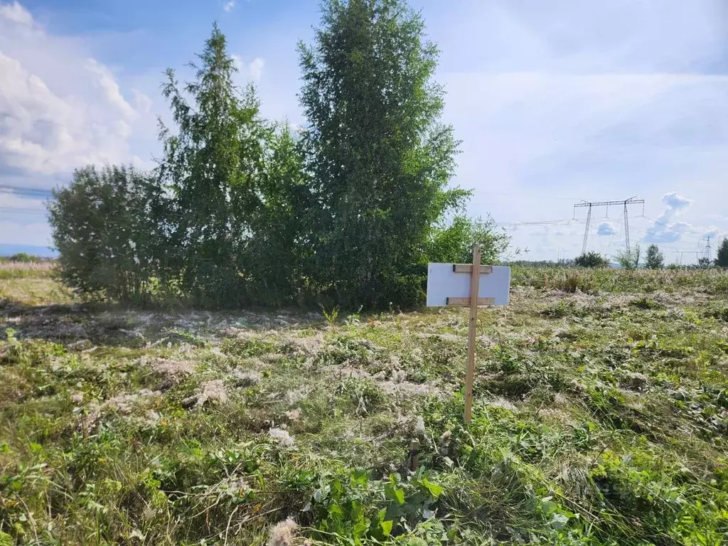 Участок в Красноярский край, Емельяновский муниципальный округ, ... - Фото 2