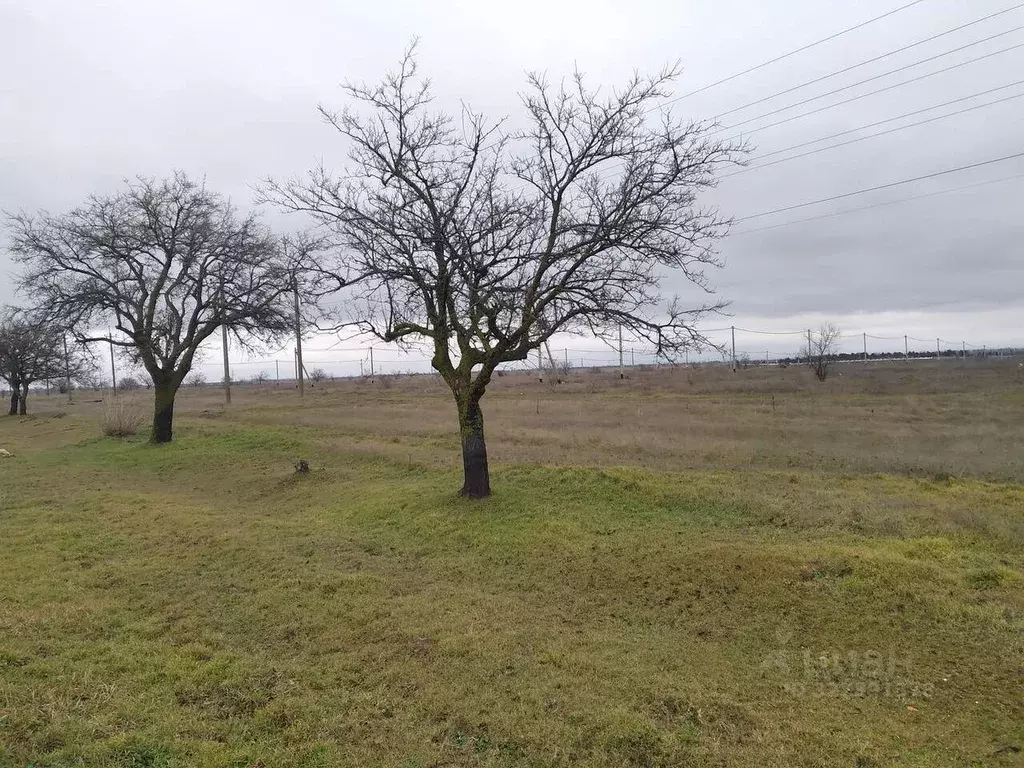 Участок в Крым, Симферопольский район, Николаевка пгт ул. Ленина (6.0 ... - Фото 1