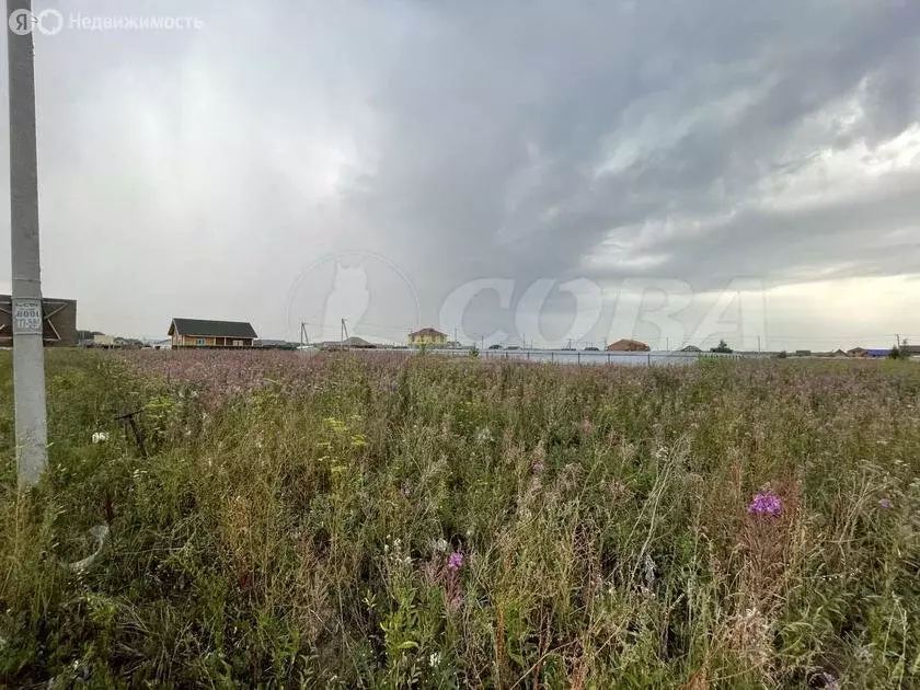 Участок в Тюменский район, деревня Ушакова (23.6 м) - Фото 1