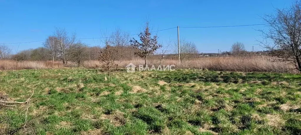 Участок в Калининградская область, Зеленоградский муниципальный округ, ... - Фото 1