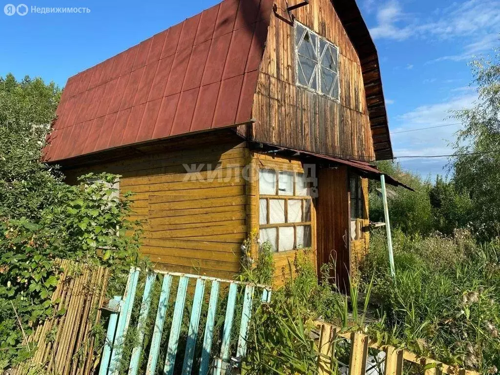 Дом в Криводановский сельсовет, садовое товарищество Сосна (45 м) - Фото 0