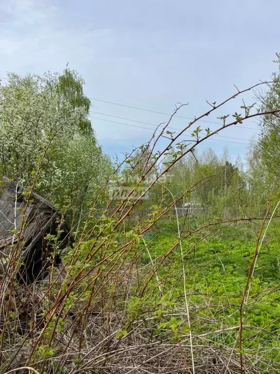 Участок в Томская область, Томский район, с. Межениновка Первомайская ... - Фото 1