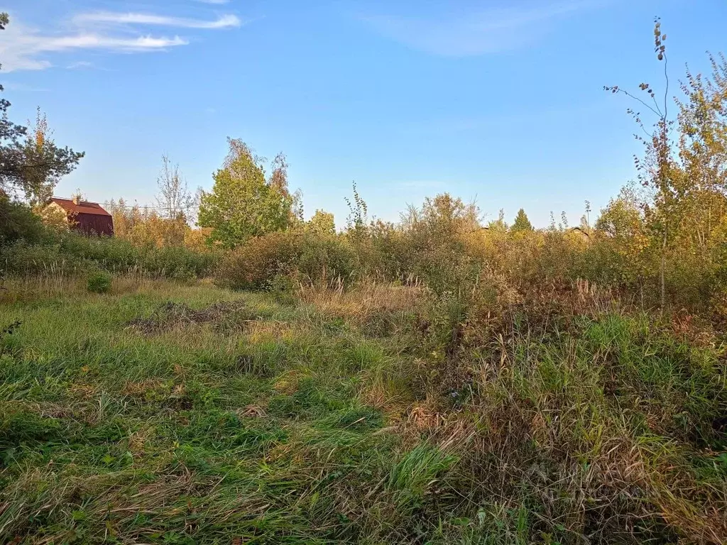 Участок в Новгородская область, Новгородский район, Панковское ... - Фото 2