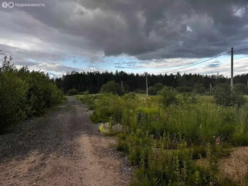 Участок в Череповецкий район, муниципальное образование Югское, ... - Фото 0