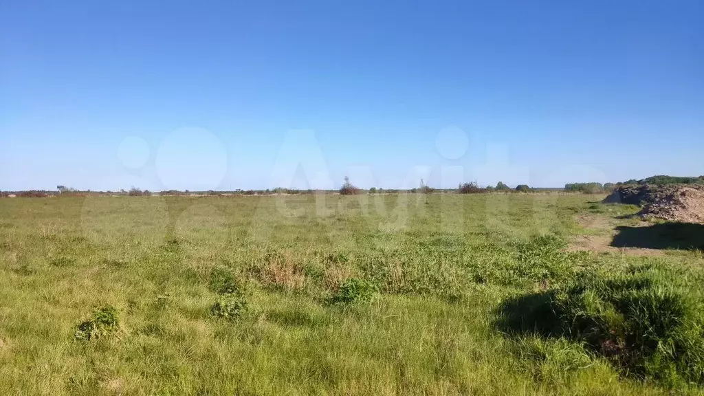 Участок 6 га (СНТ, ДНП) - Фото 0