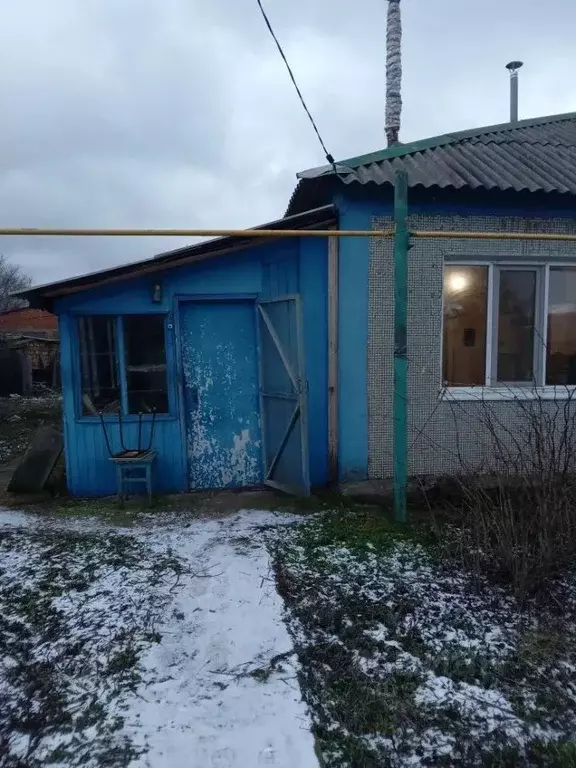 Дом в Оренбургская область, Сакмарский район, с. Марьевка Новая ул. ... - Фото 2