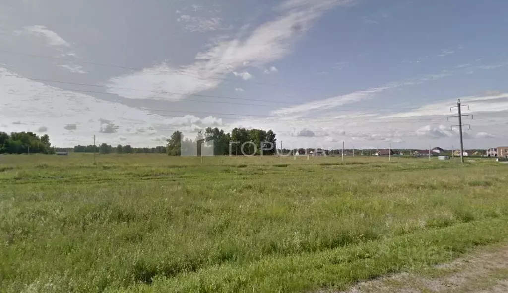 Участок в Новосибирская область, Новосибирский район, Березовский ... - Фото 0
