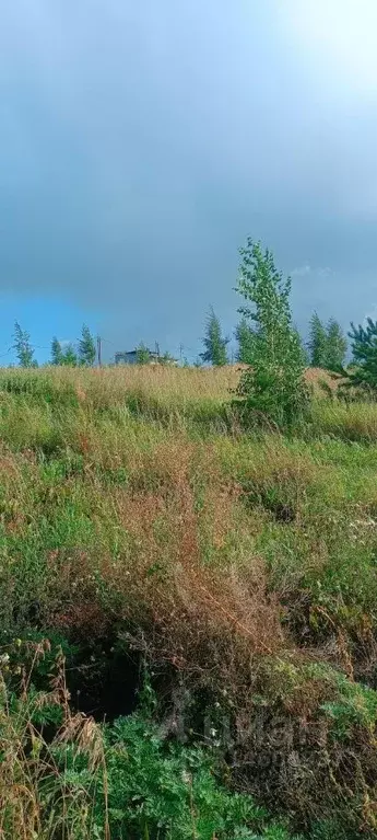 Участок в Татарстан, Тукаевский район, Биюрганское с/пос, д. Кулушево  ... - Фото 1