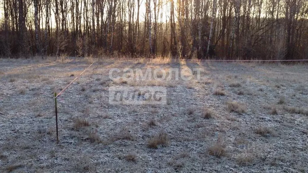 Участок в Калужская область, Калуга городской округ, д. Лихун 4А (14.5 ... - Фото 2