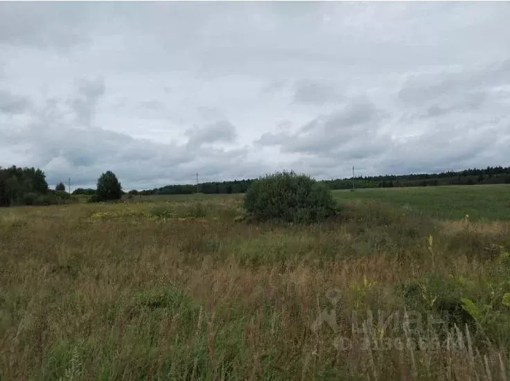 Участок в Московская область, Дмитровский муниципальный округ, с. ... - Фото 0