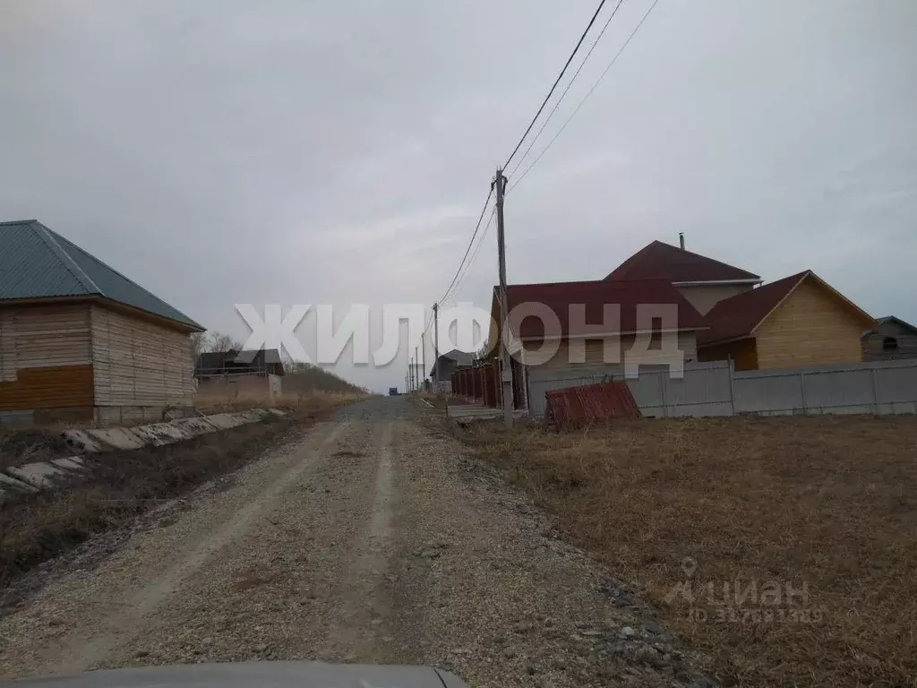 Участок в Новосибирская область, Новосибирский район, Морской ... - Фото 1