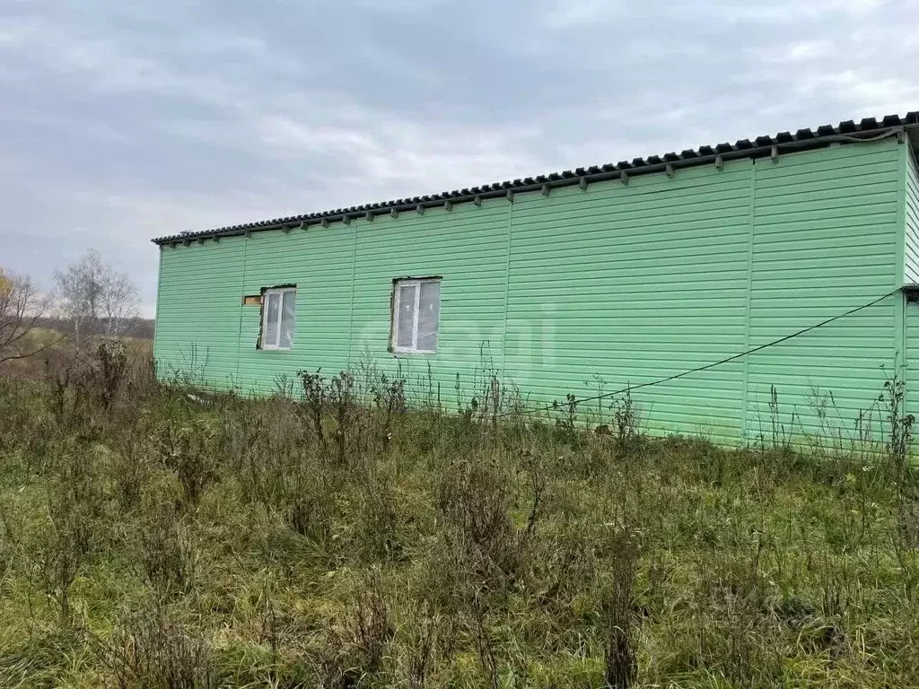 Участок в Калужская область, Калуга городской округ, д. Карачево 18 ... - Фото 1