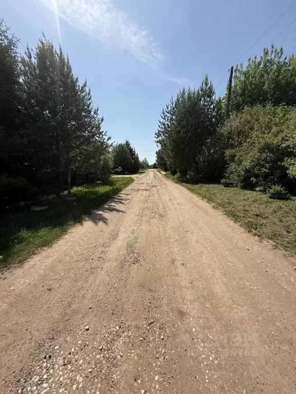 Участок в Пермский край, Пермский муниципальный округ, с. Нижние Муллы ... - Фото 2