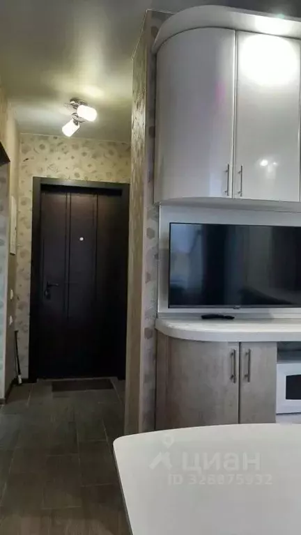 1-к кв. Нижегородская область, Дзержинск Прибрежная тер., наб. Окская, ... - Фото 2