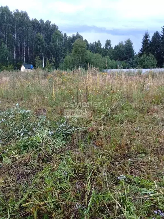 Участок в Московская область, Клин городской округ, Сокол садовое ... - Фото 1