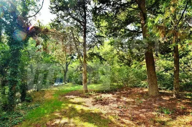 Участок в Крым, Ялта муниципальный округ, Кореиз пгт спуск Парковый ... - Фото 1