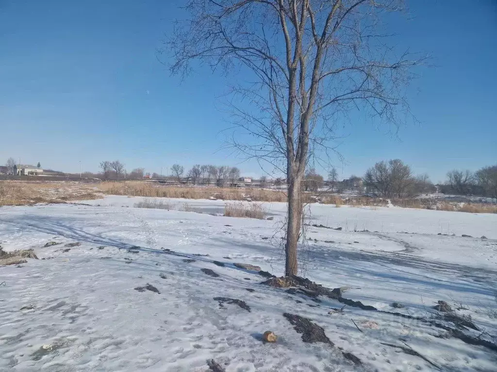 Участок в Белгородская область, Алексеевка ул. Некрасова, 100 (8.0 ... - Фото 2