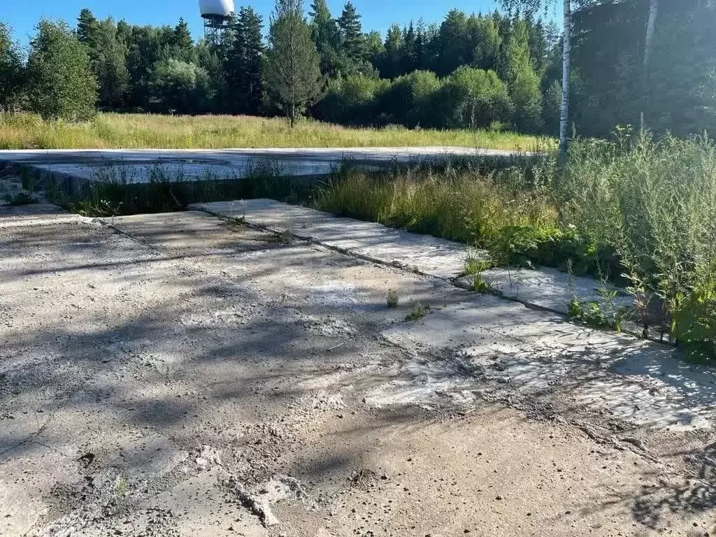 Участок в Московская область, Одинцовский городской округ, д. Клопово ... - Фото 0