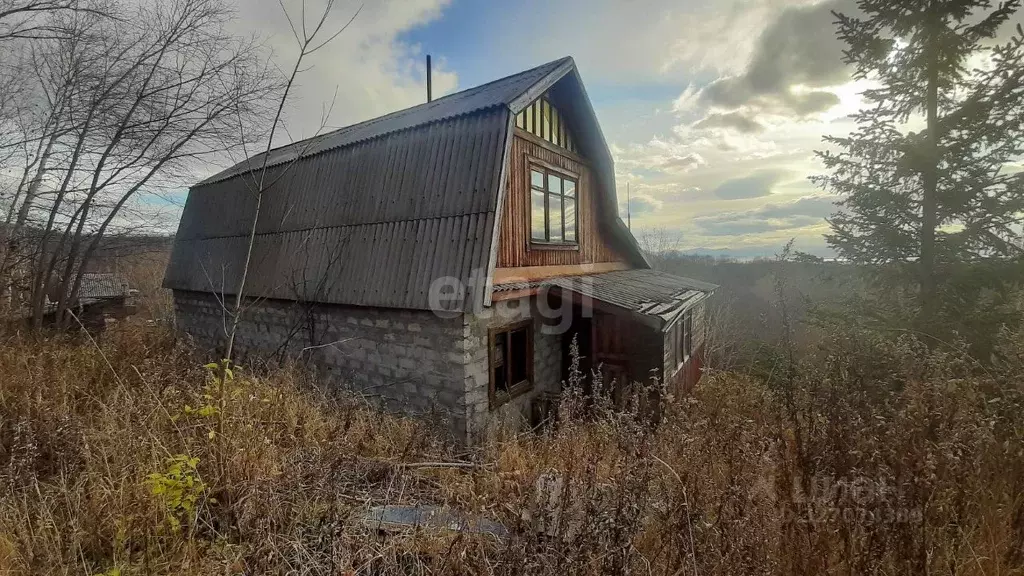 Участок в Камчатский край, Елизовский муниципальный округ, пос. ... - Фото 1