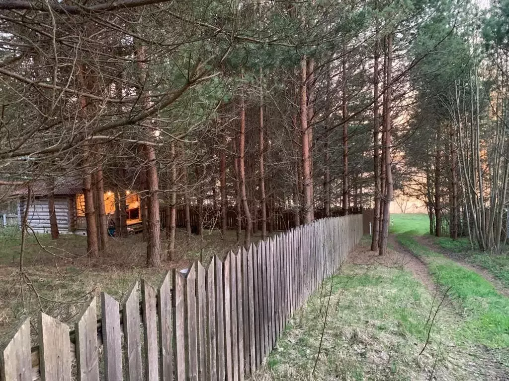 Участок бельское. Участок бельское. Участок бельское. Снт компьютер богоявление. Участок бельское.