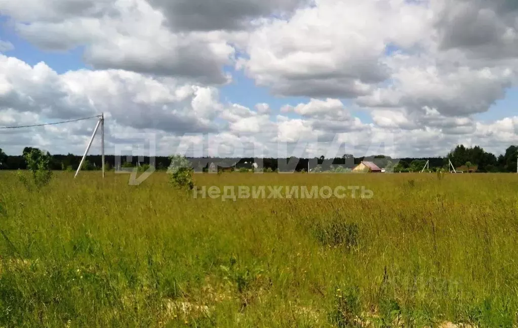 Участок в Нижегородская область, Богородский муниципальный округ, с. ... - Фото 0