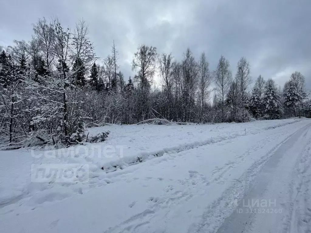 Участок в Московская область, Истра муниципальный округ, д. Ермолино  ... - Фото 1