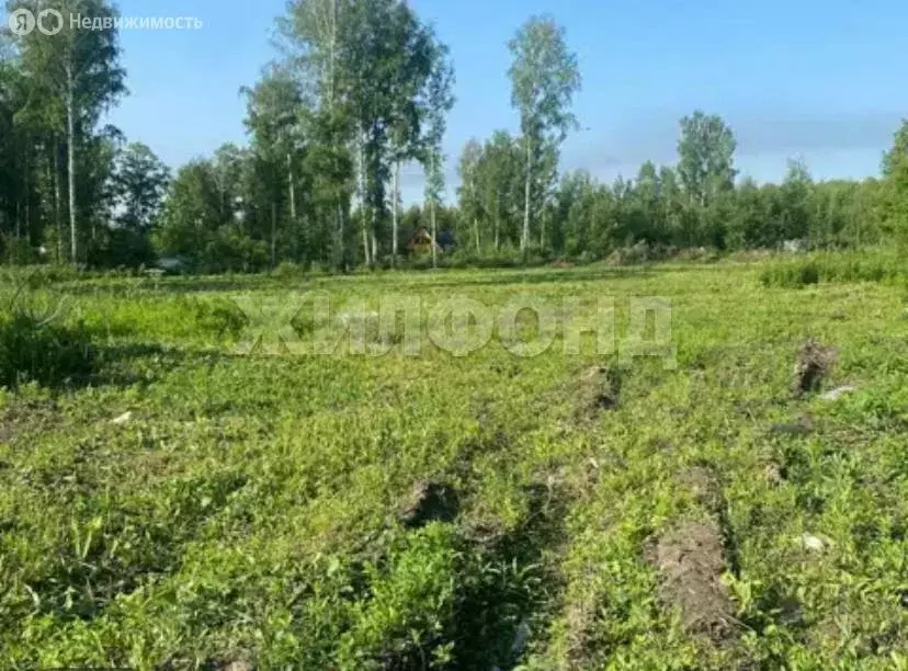 Участок в Раздольненский сельсовет, СНТ Надежда (12 м) - Фото 0