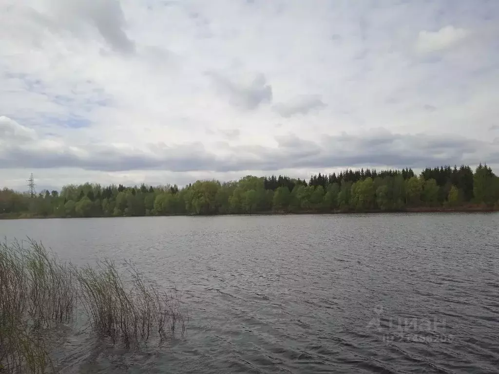 Участок в Новгородская область, Новгородский район, Бронницкое с/пос, ... - Фото 0