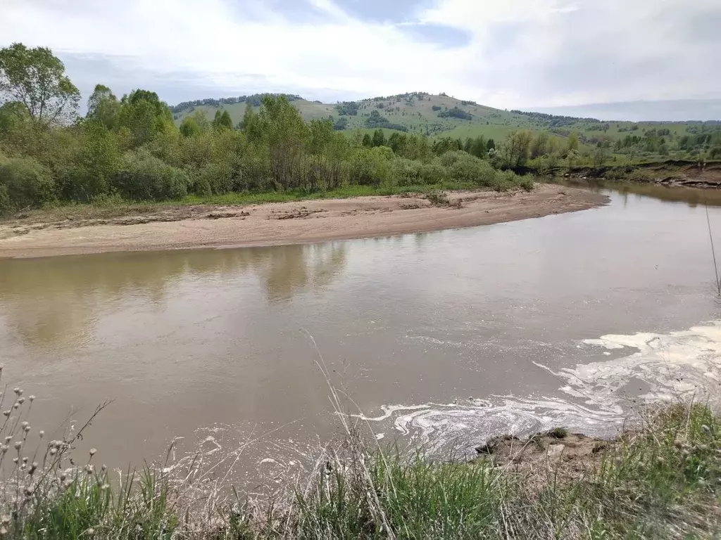 Участок в Алтайский край, Красногорский район, с. Усть-Иша  (29.5 ... - Фото 1