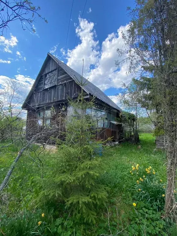 Дом 51 м на участке 8 сот. - Фото 0