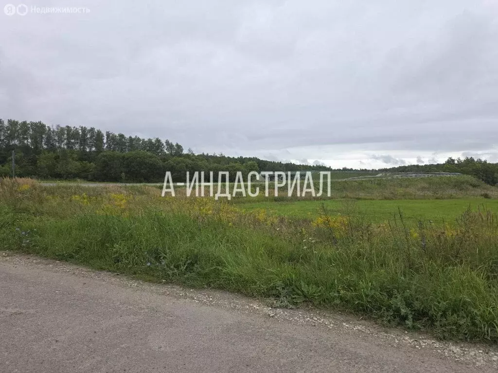 Участок в деревня Барабаново, Полевая улица, 50 (20 м) - Фото 1