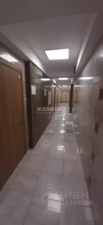 Помещение свободного назначения в Новосибирская область, Новосибирск ... - Фото 1