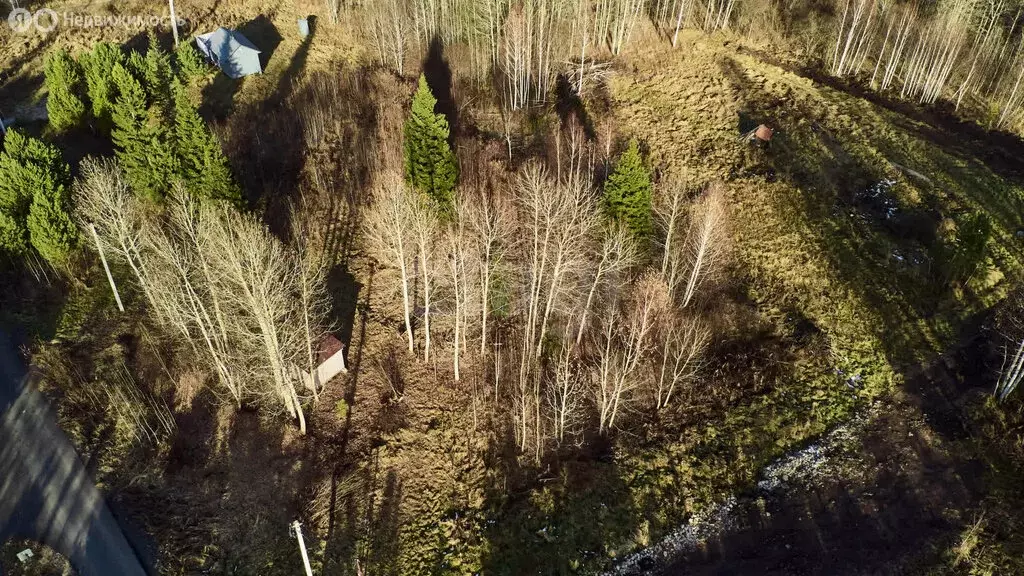 Участок в Томск, посёлок Родионово, улица Маршала Жукова (15 м) - Фото 2
