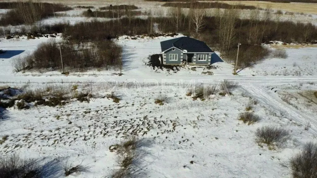 Участок в Тюменская область, Тюменский муниципальный округ, с. Ембаево ... - Фото 2