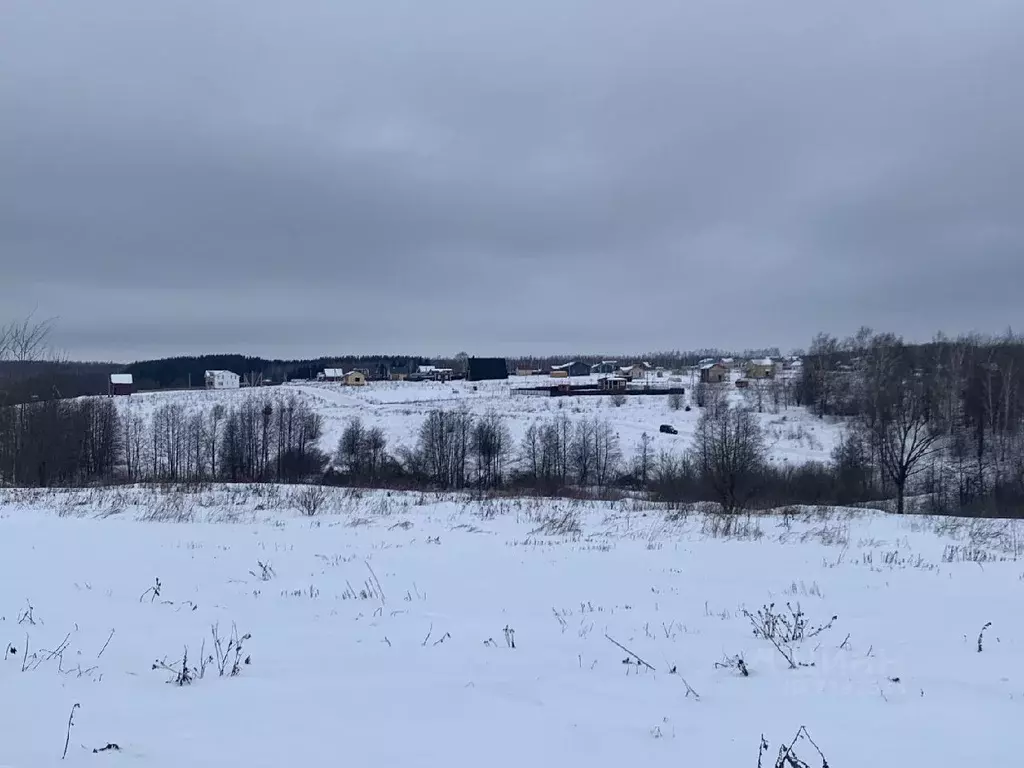 Участок в Нижегородская область, Богородский район, д. Килелей ул. ... - Фото 1