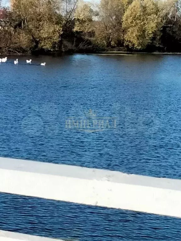 Дом 36 м на участке 26 сот. - Фото 1