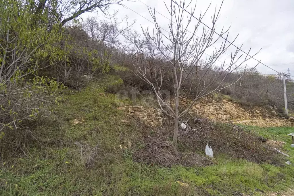 Участок в Севастополь СТ Дружба ТСН, 46 (4.0 сот.) - Фото 1