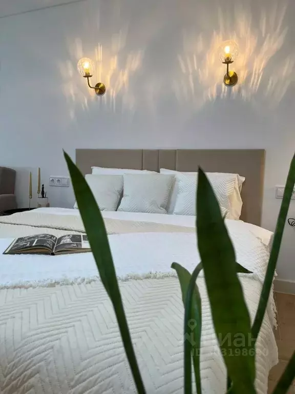 Студия Ивановская область, Иваново ул. Калинина, 24 (30.0 м) - Фото 1