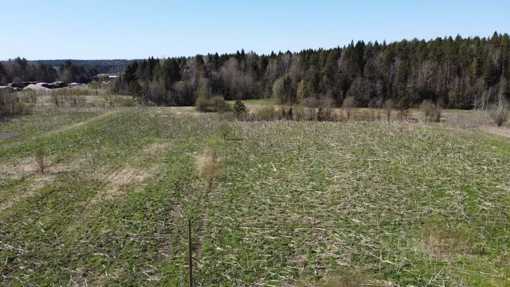 Участок в Карелия, Сортавальский муниципальный округ, пос. Хаапалампи  ... - Фото 2