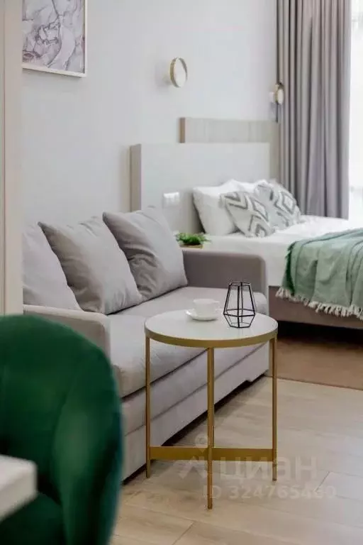 1-к кв. Краснодарский край, Сочи Центральный мкр, ул. Навагинская, 11 ... - Фото 2