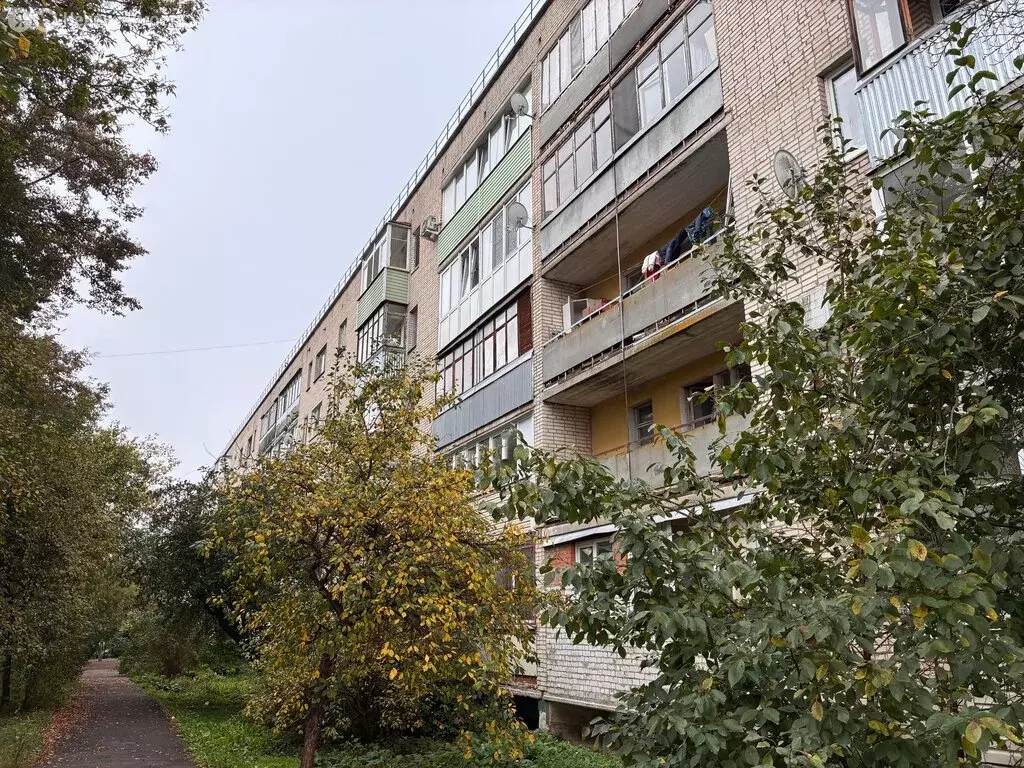 3-комнатная квартира: посёлок Дубровицы, 19 (68 м) - Фото 1